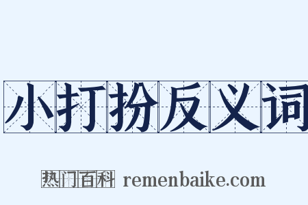 小打扮反义词是什么意思的图片